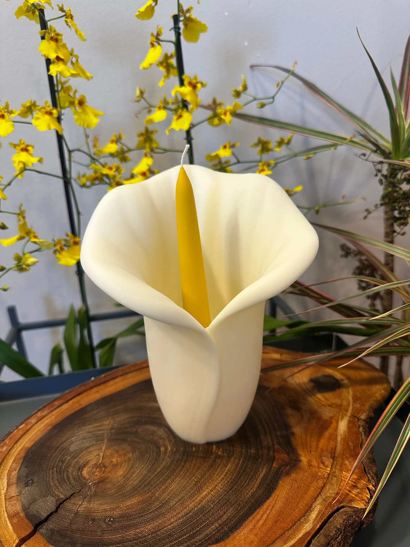Vela escultural branca em formato de copo-de-leite entre flores amarelas